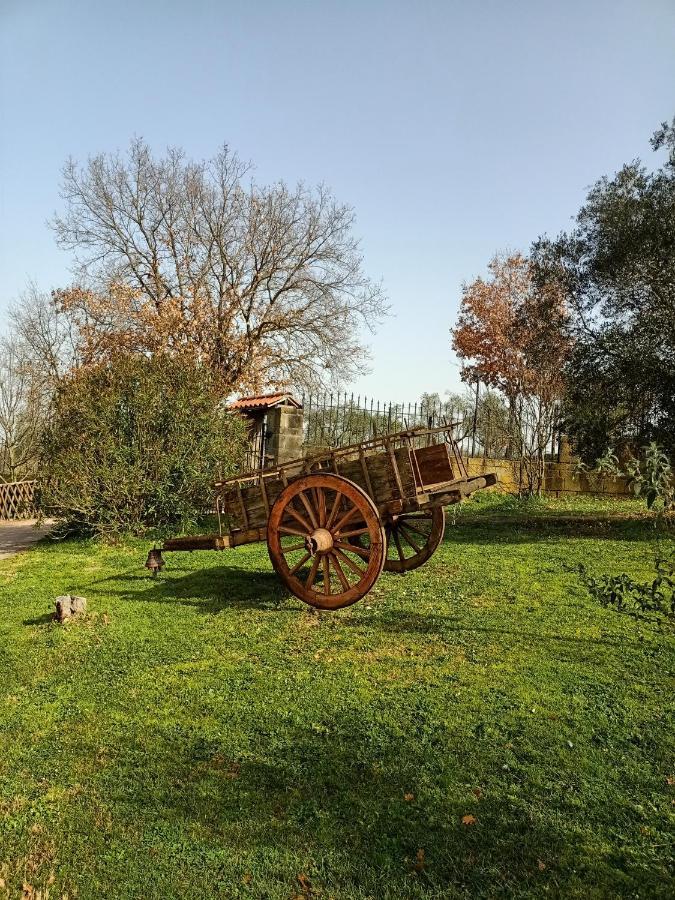 Villa Rifugio Di Campagna Vitorchiano Exterior foto